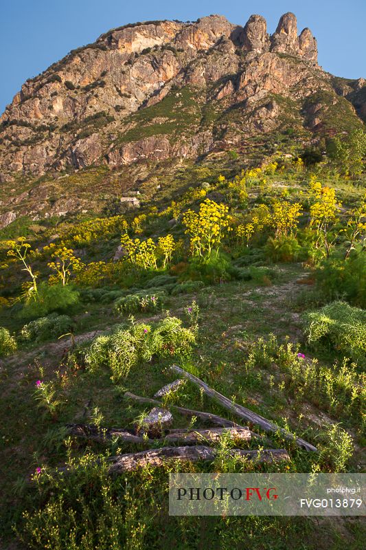 Mount Three Peaks, in the Aspromonte National Park