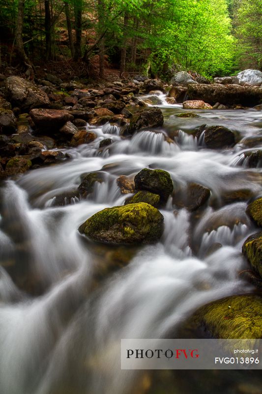 Stream in the Aspromonte National Park