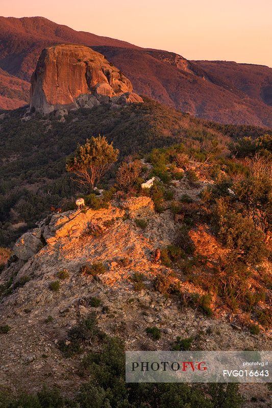 Valley Of The Big Stones in Aspromonte