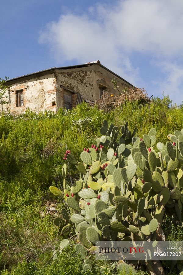 An old building along the Edward Lear path
