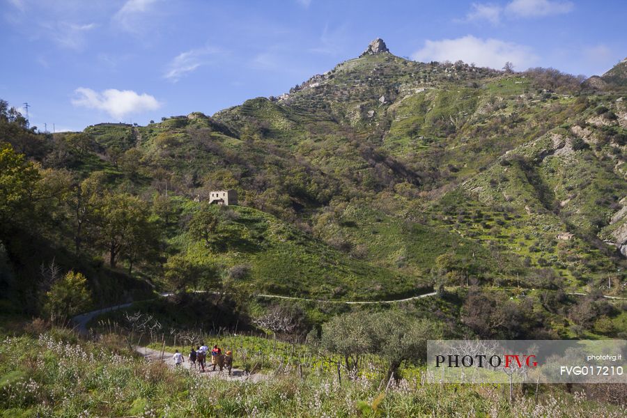 Group of hikers along the Edward Lear path