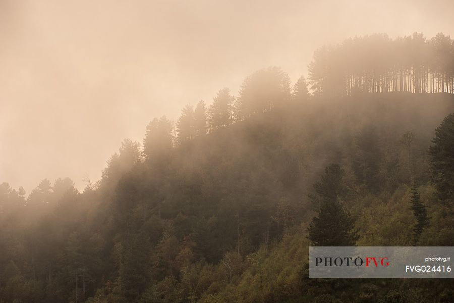 Sunset in the Aspromonte National Park, Calabria, Italy