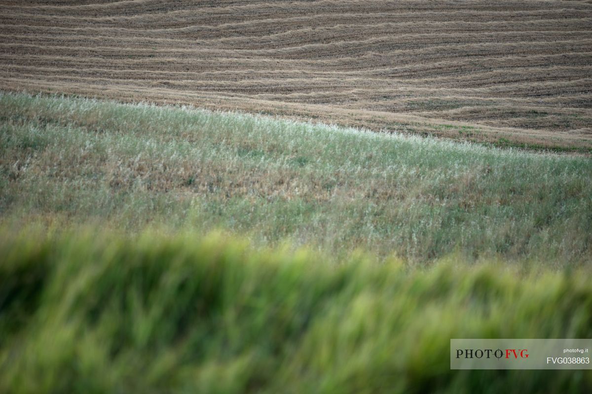 Natural landscape in  Val d'Orcia valley, San Quirico d'Orcia, Tuscany, Italy, Europe