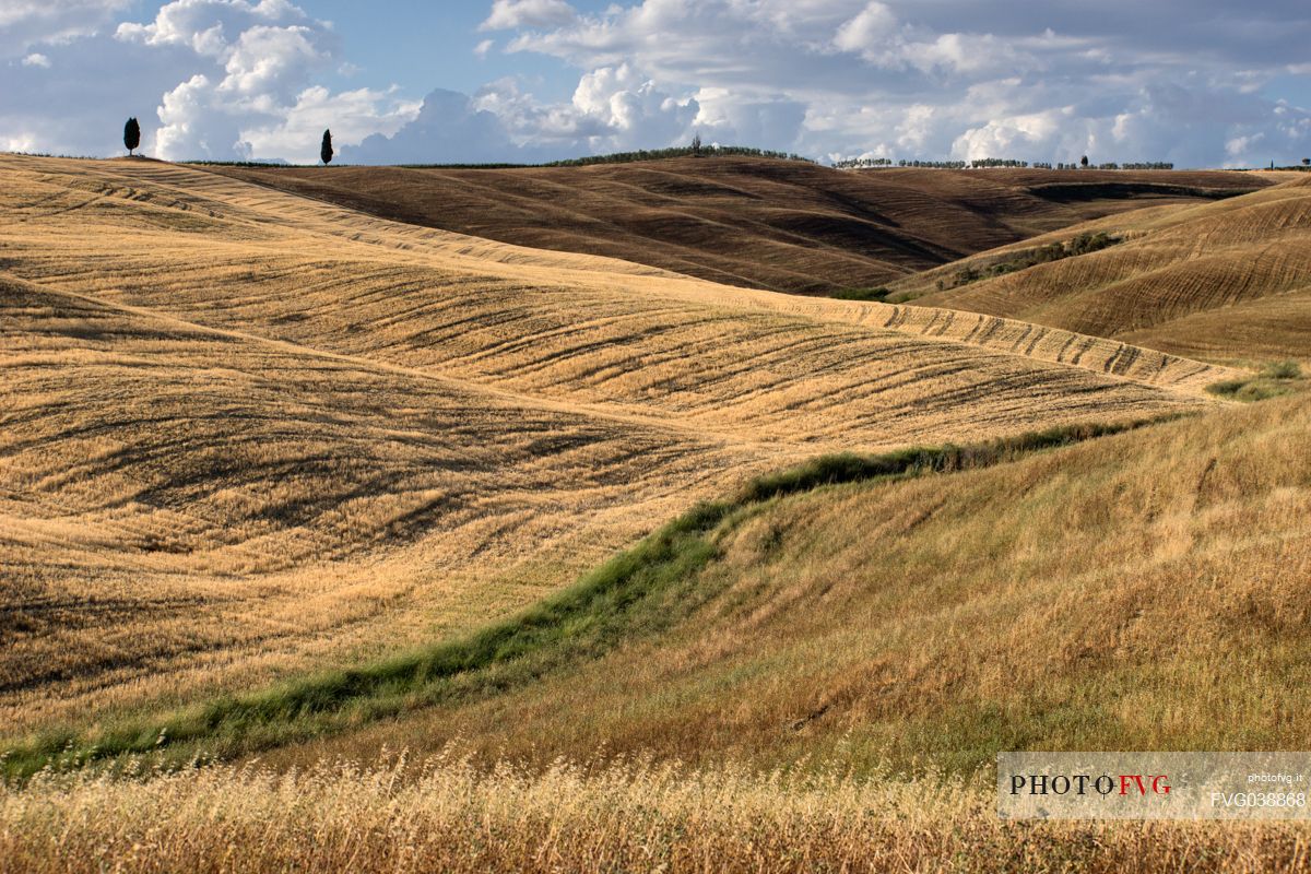 Typica landscape near San Quirico d'Orcia,  Val d'Orcia valley, Tuscany, Italy, Europe