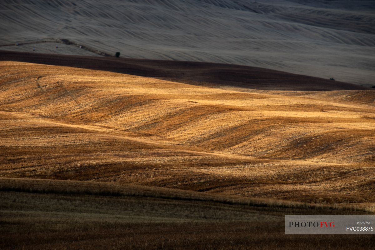 Natural landscape in  Val d'Orcia valley, San Quirico d'Orcia, Tuscany, Italy, Europe