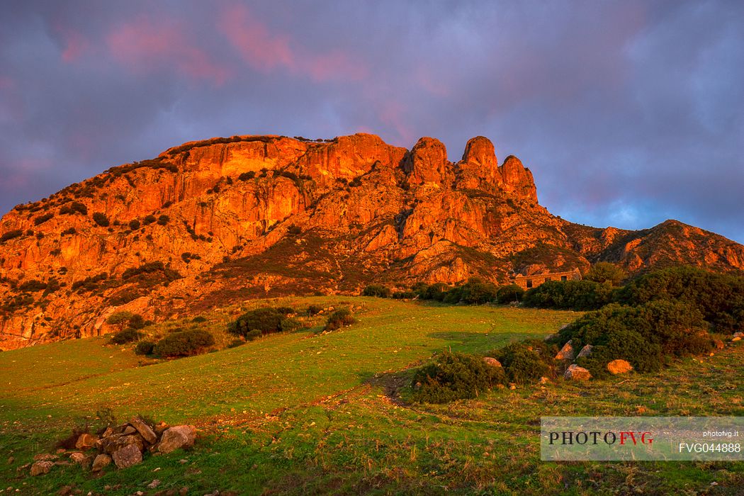 Monte Tre Pizzi mount , near Cimin, at dawn, Calabria, Italy, Europe