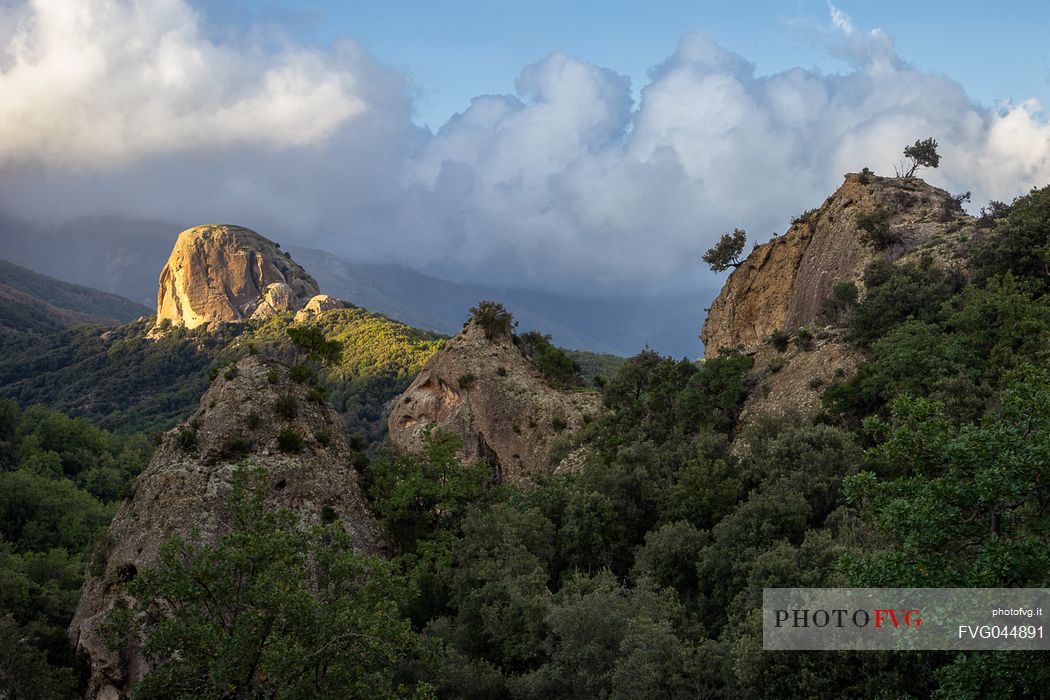 Pietra Cappa, the largest monolith in Europe, megalith near Natile Vecchio, Aspromonte national park, Calabria, Italy, Europe