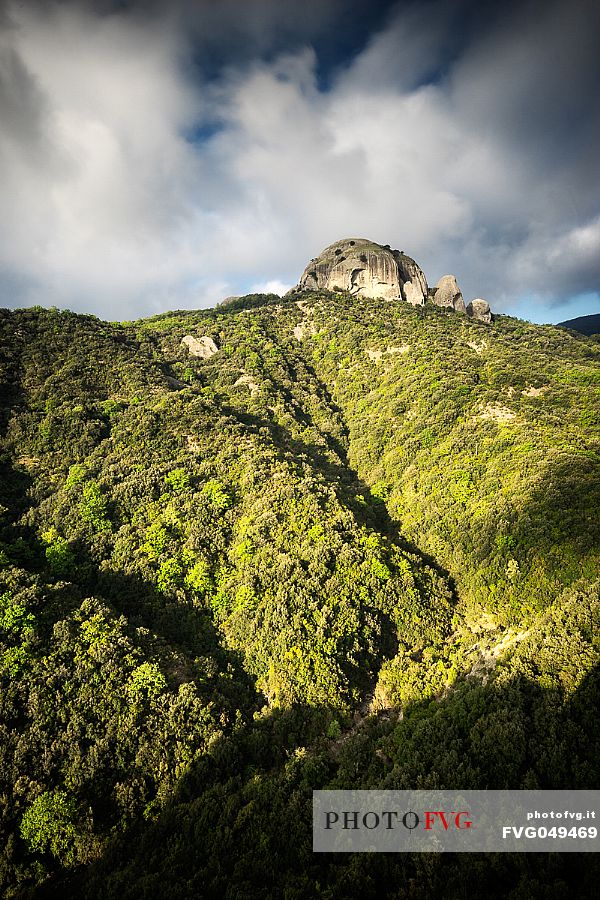 Pietra Cappa, the largest monolith in Europe, megalith near Natile Vecchio, Aspromonte national park, Calabria, Italy, Europe