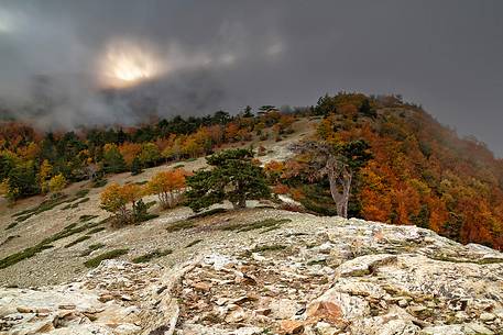 Autumn Colors in the Aspromonte National Park