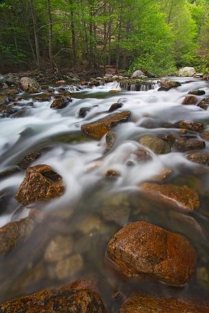 Stream in the Aspromonte National Park