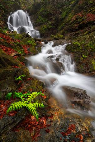 A small corner of paradise in the Aspromonte National Park, a short walk from the town of Oppido Mamertina