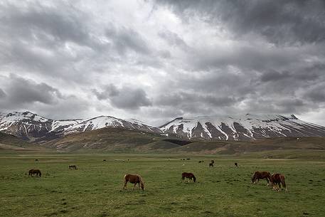 The Plains of Castelluccio dominated by Mount Vettore