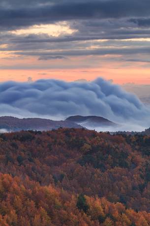 Creativity fall in Aspromonte National Park