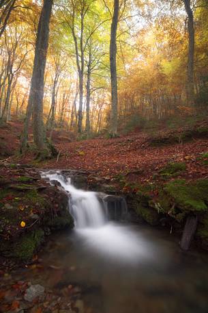 Creativity fall in Aspromonte National Park