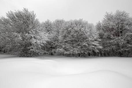 The magic of the Aspromonte photographed in snowy winter