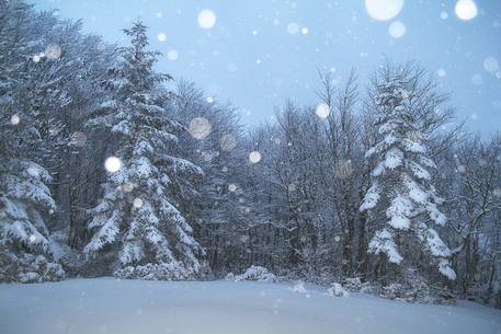 The magic of the Aspromonte photographed in snowy winter