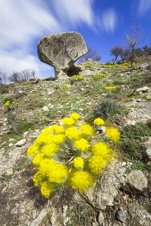 La Rocca Del Drago illuminated by the light of a spring afternoon La Rocca Del Drago illuminated by the light of a spring afternoon