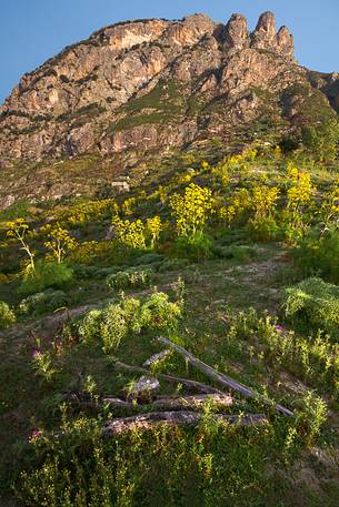 Mount Three Peaks, in the Aspromonte National Park