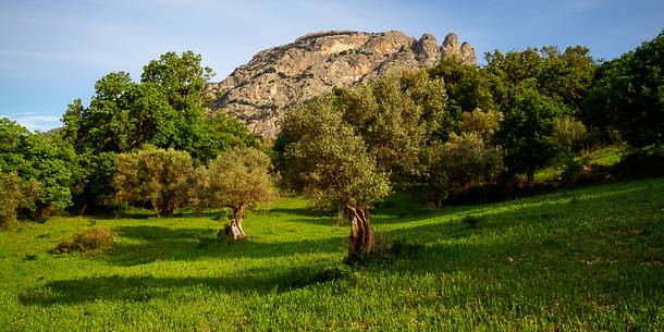 Mount Three Peaks, in the Aspromonte National Park