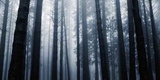 The magic of the Aspromonte photographed in spring season