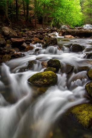 Stream in the Aspromonte National Park