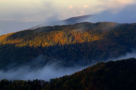 The autumn colors in the forests of the high Aspromonte