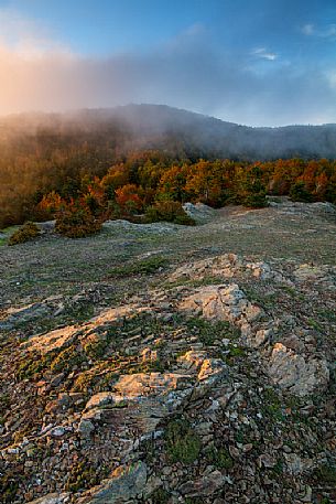 The autumn colors in the forests of the high Aspromonte The autumn colors in the forests of the high Aspromonte