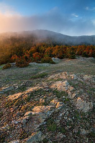 The autumn colors in the forests of the high Aspromonte