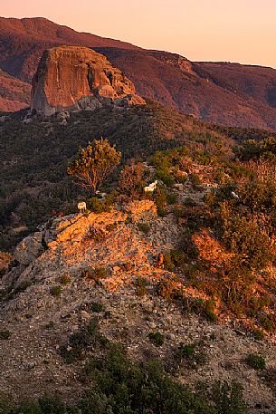 Valley Of The Big Stones in Aspromonte