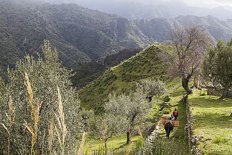 Group of hikers along the Edward Lear path