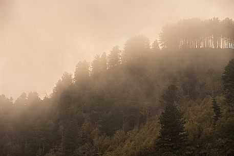 Sunset in the Aspromonte National Park, Calabria, Italy Sunset in the Aspromonte National Park, Calabria, Italy