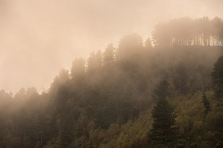 Sunset in the Aspromonte National Park, Calabria, Italy