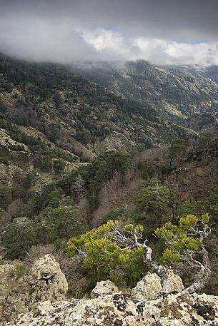 Typical view of the Aspromonte National Park, Italy