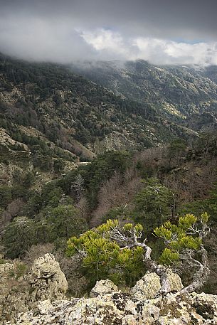 Typical view of the Aspromonte National Park, Italy