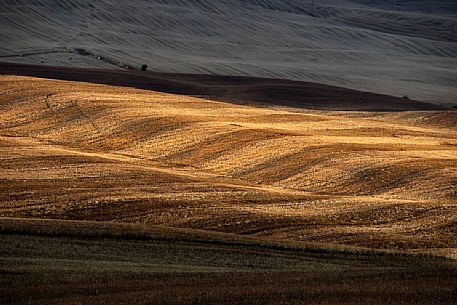 Natural landscape in  Val d'Orcia valley, San Quirico d'Orcia, Tuscany, Italy, Europe