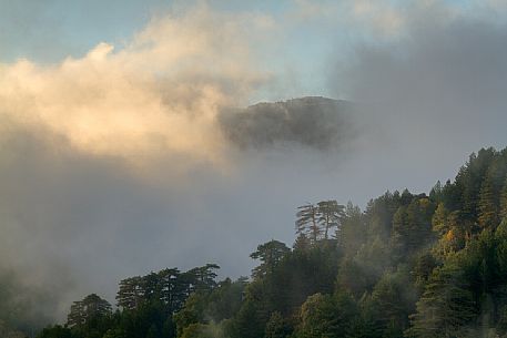 Autumn atmospheres in the Infernale valley, Aspromonte National Park, Calabria, Italy, Europe Autumn atmospheres in the Infernale valley, Aspromonte National Park, Calabria, Italy, Europe