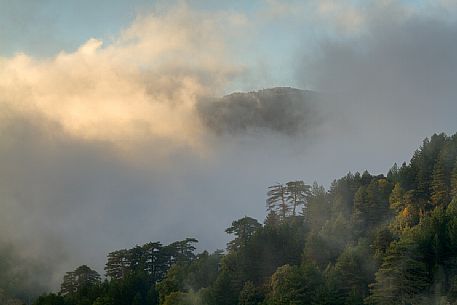 Autumn atmospheres in the Infernale valley, Aspromonte National Park, Calabria, Italy, Europe