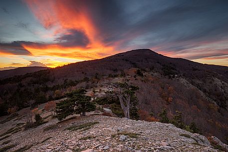 Autumn Colors in the Aspromonte National Park