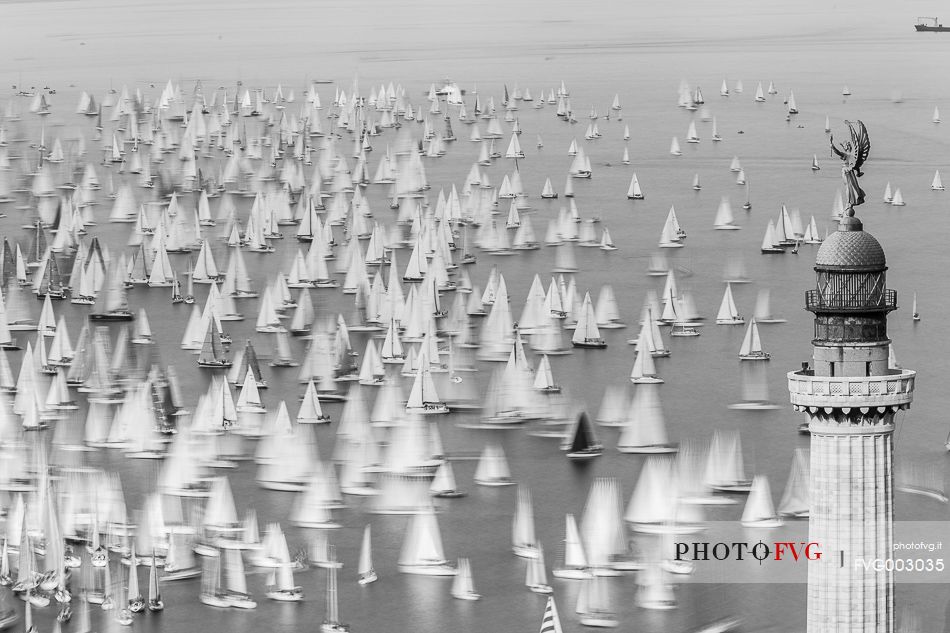 Barcolana in front of the lighthouse Barcola