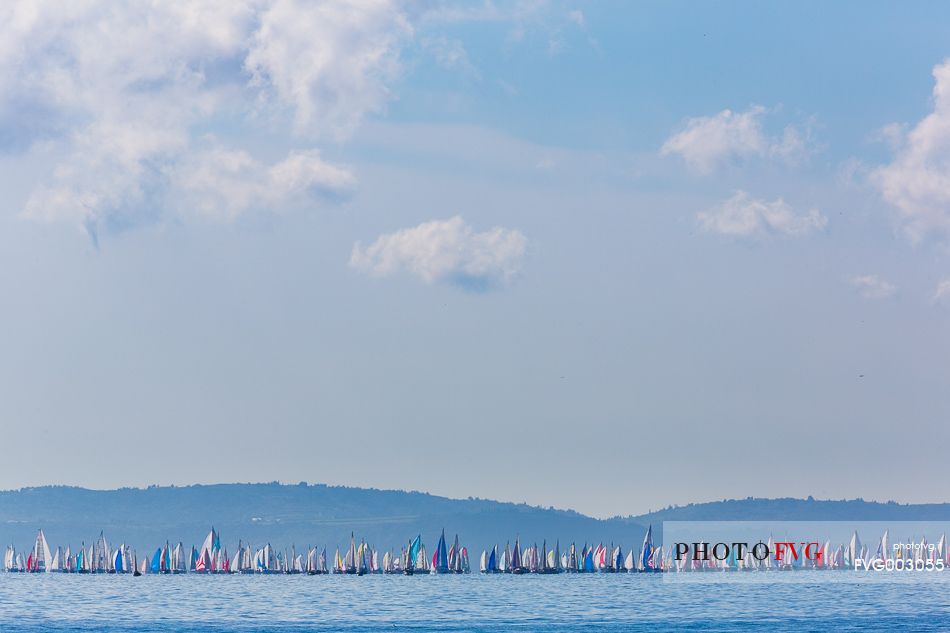 Barcolana, the historic sailing regatta in Trieste