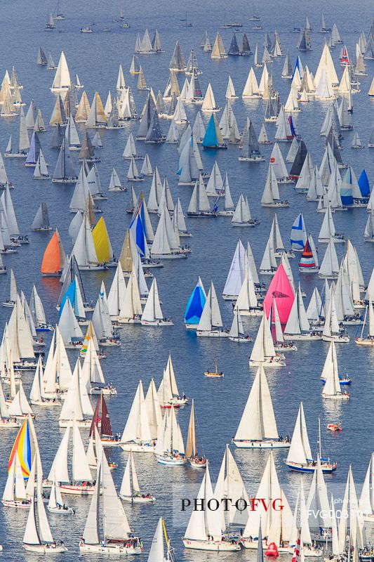 Barcolana, the historic sailing regatta in Trieste