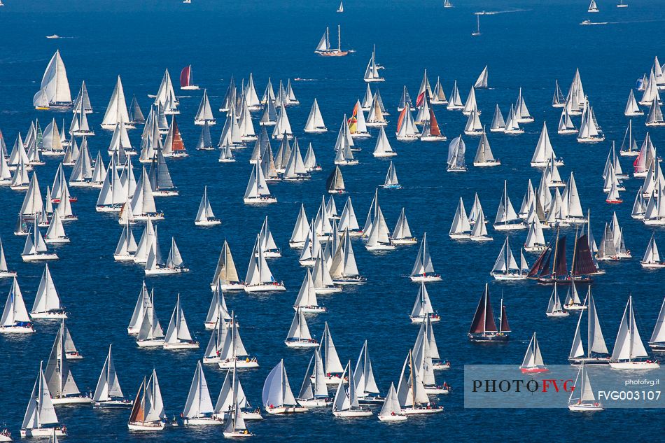 Barcolana, the historic sailing regatta in Trieste