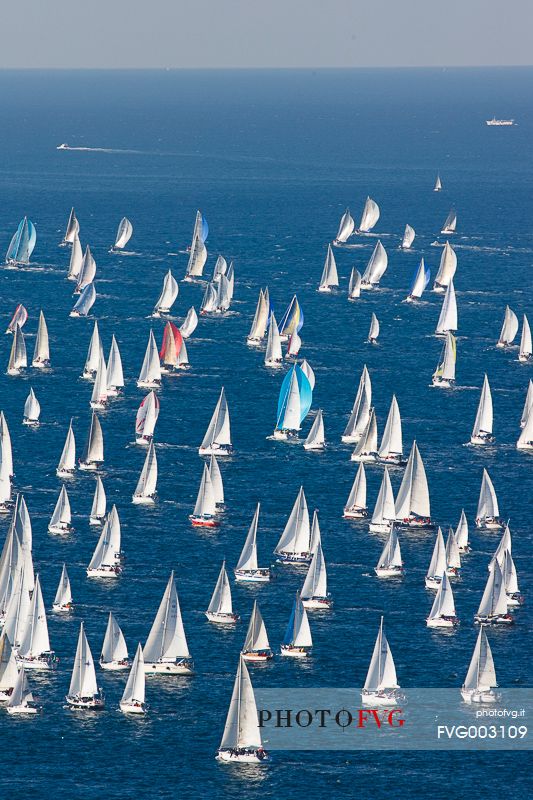 Barcolana, the historic sailing regatta in Trieste