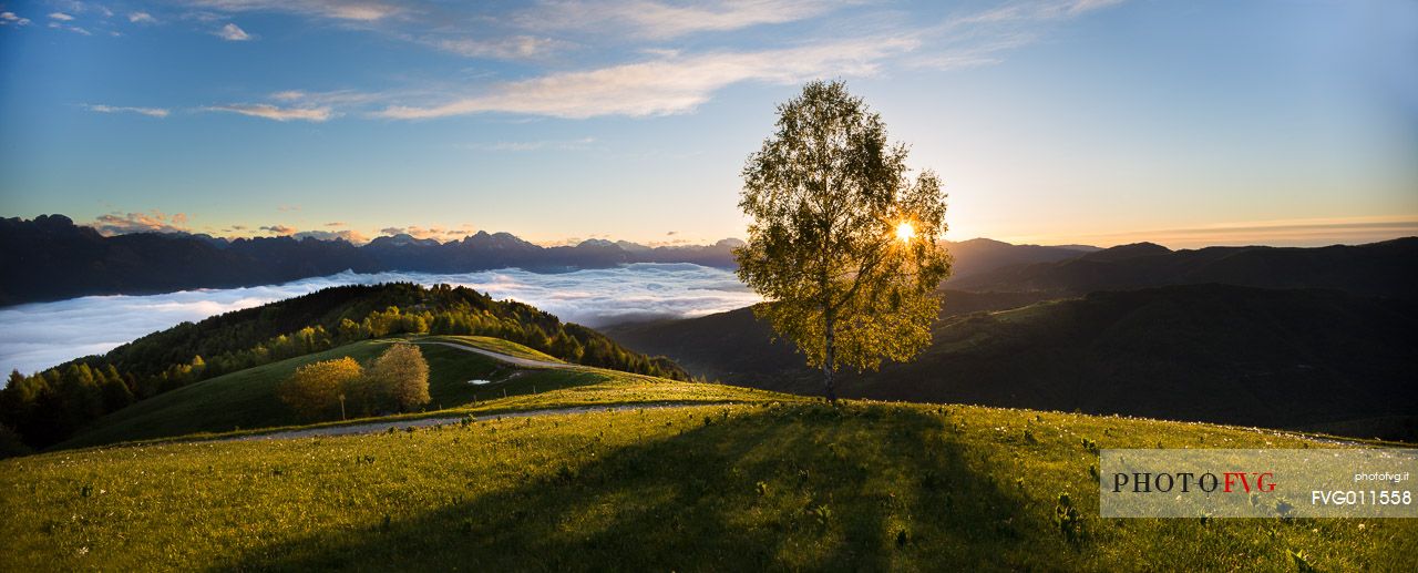 Spring Dawn at Pian di Cultura, Italy