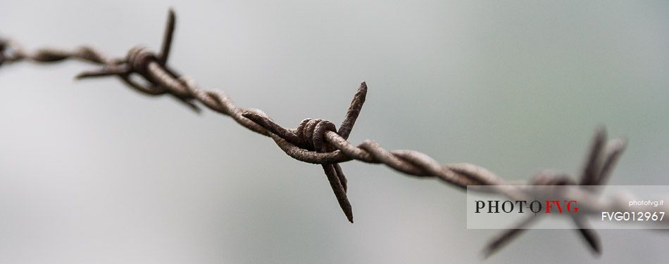 Barbed wire near the trenches on Mount Grappa