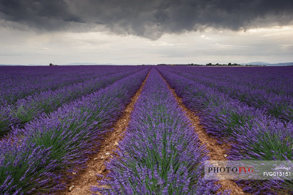 Storm coming on the Plateau of Valensole