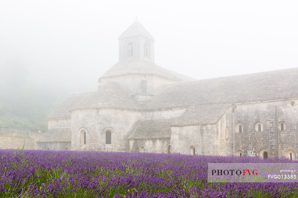 The ancient abbey of Snanque, located a few kilometers from the picturesque village of Gordes, surrounded by the morning mist