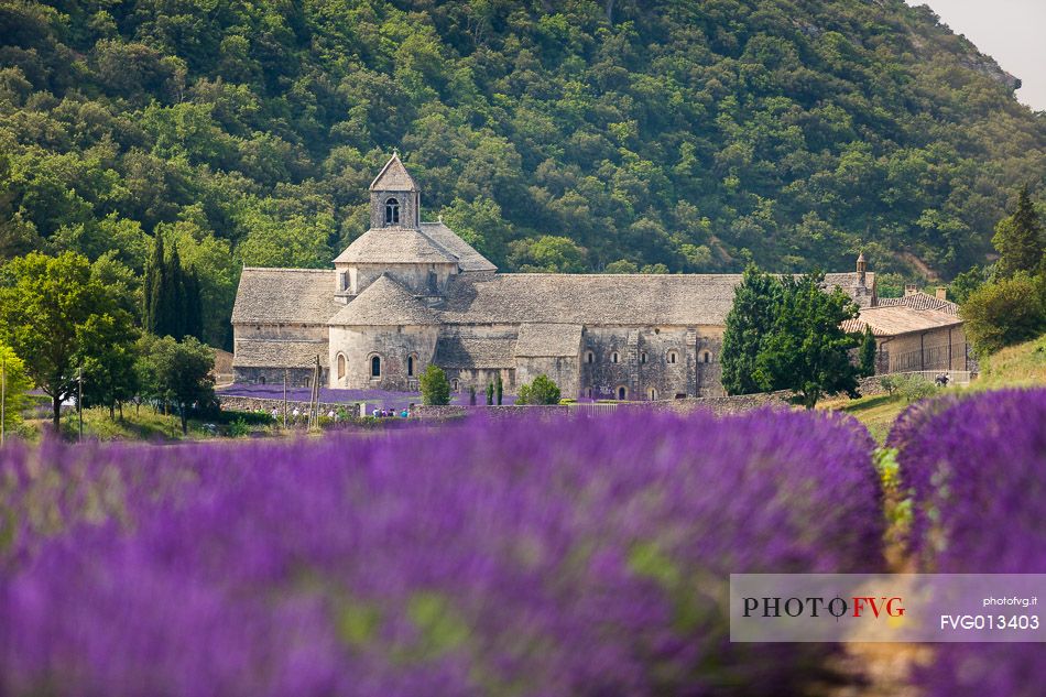 The ancient abbey of Snanque, located a few kilometers from the picturesque village of Gordes