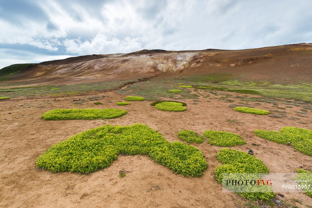 Leirhnjukul lava fields in Krafla Caldera