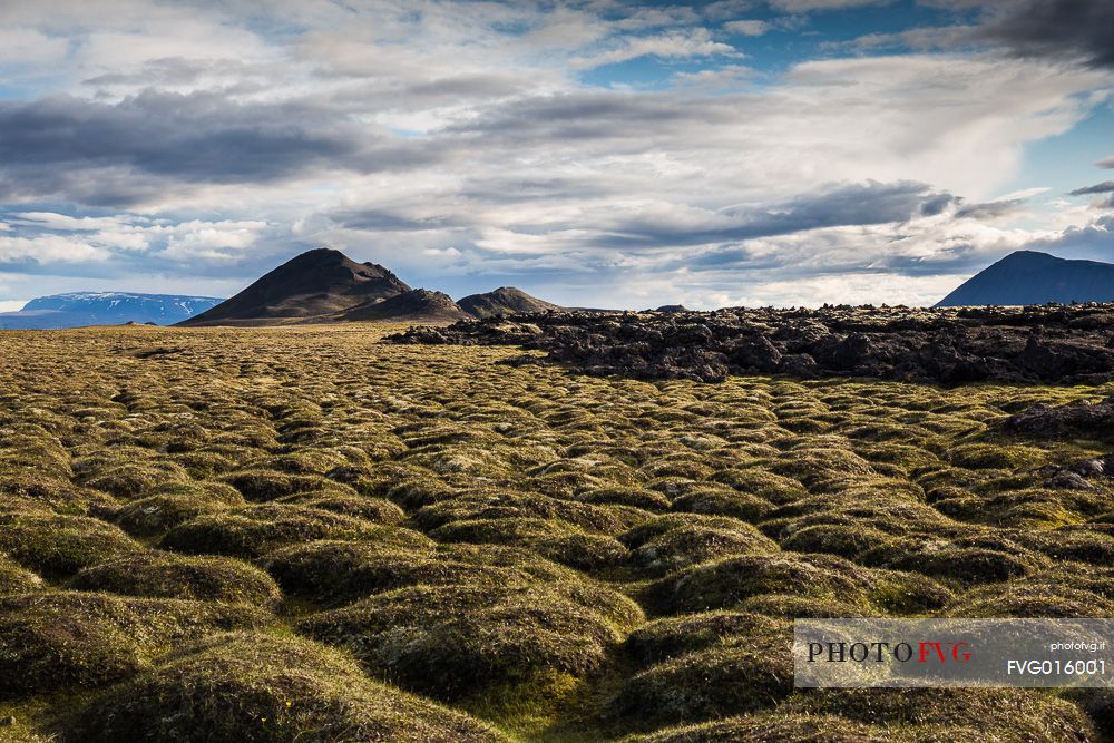 Leirhnjukul lava fields covered by moss in Krafla Caldera